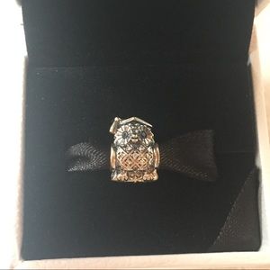 Graduate Owl Pandora Charm
